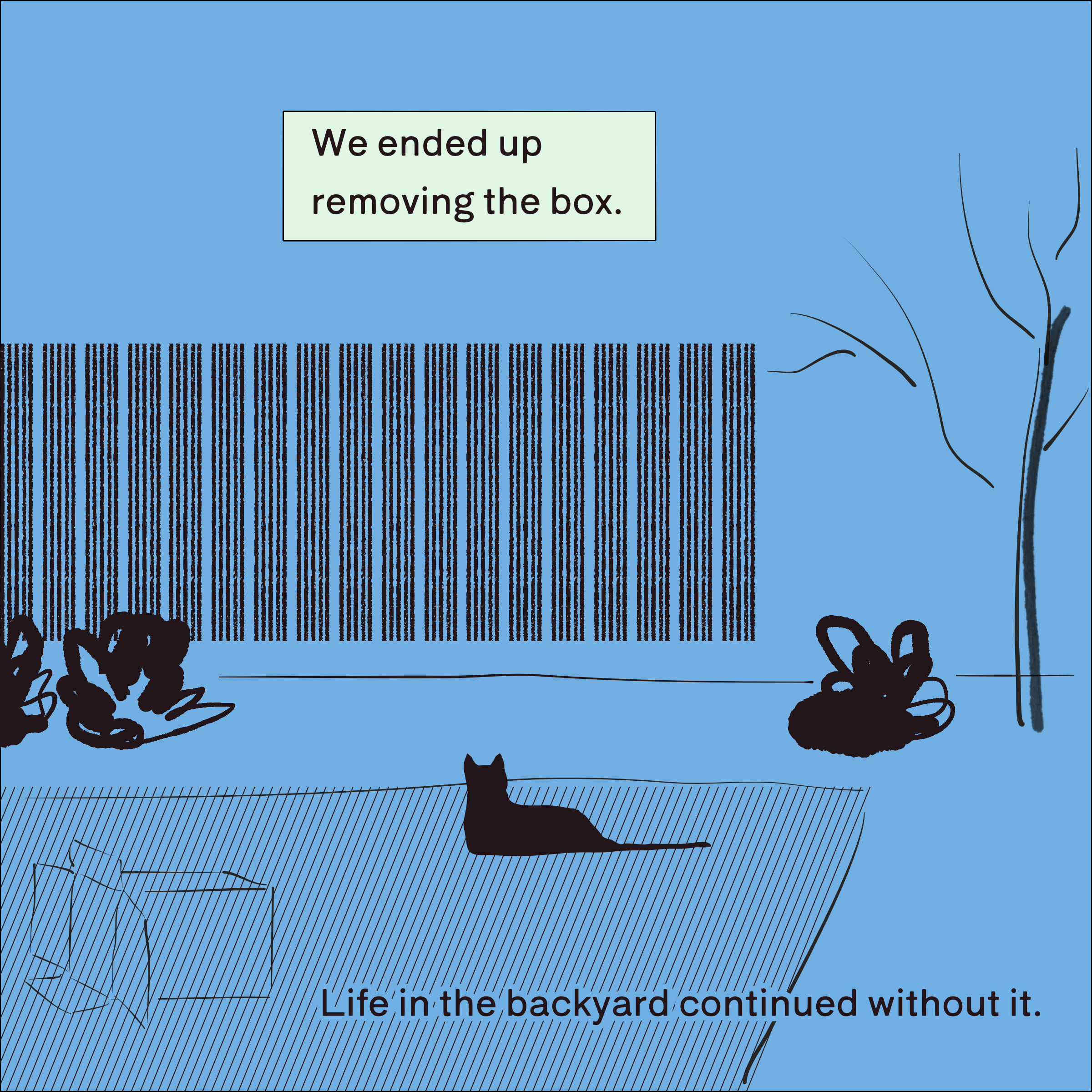 After a while, we ended up removing the box. Life in the backyard continued without it.